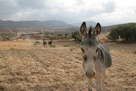 Workshop scenario spanje